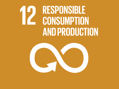 12_responsible_consumption_and_production